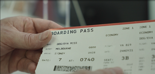 A boarding pass in the name of Miss Eva
